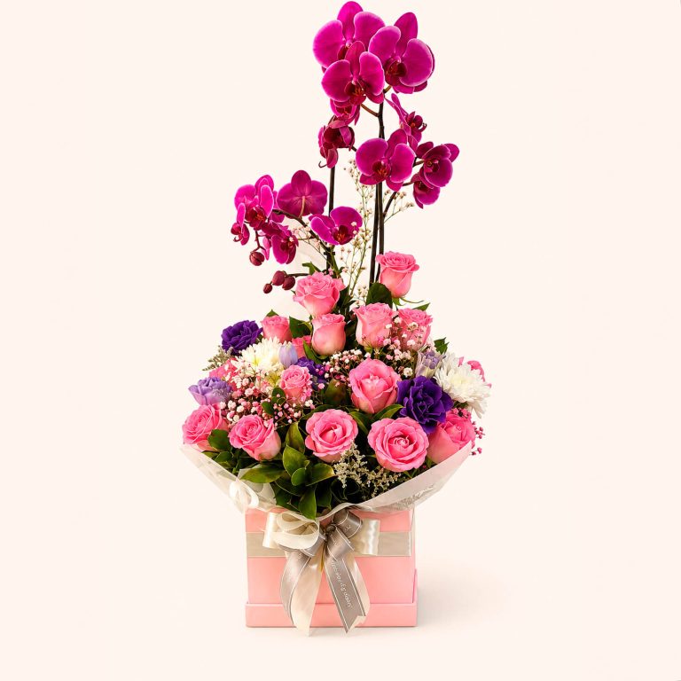 Orquídea imperial rosé