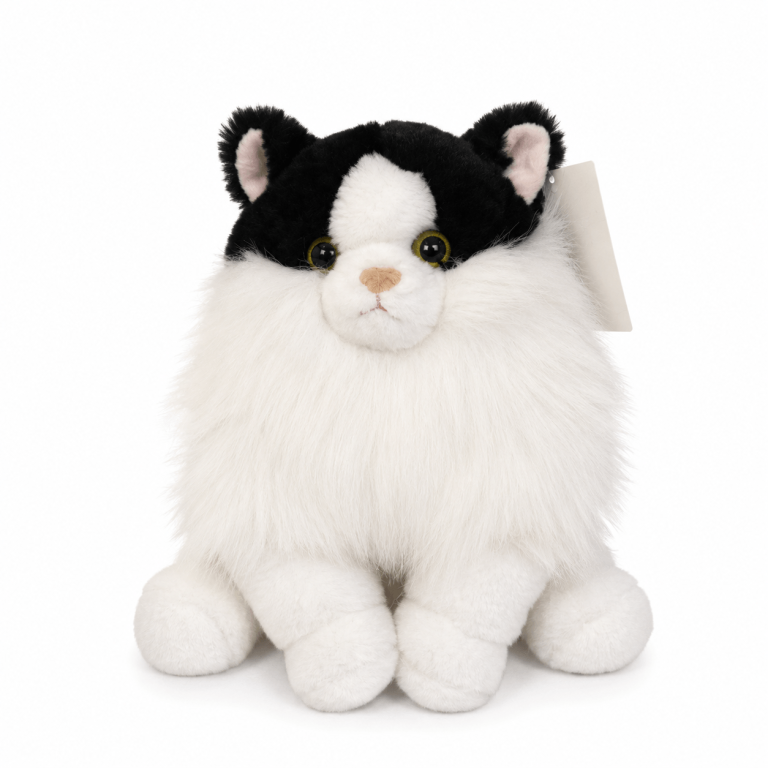 Gato